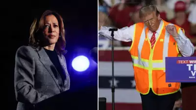 'Where's Kamala?': Harris campaign remains radio silent as Donald Trump approaches White House