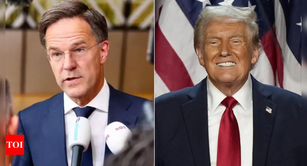 NATO’s Rutte congratulates Trump on US election – Times of India