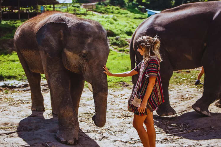 Adventure and ecotourism opportunities