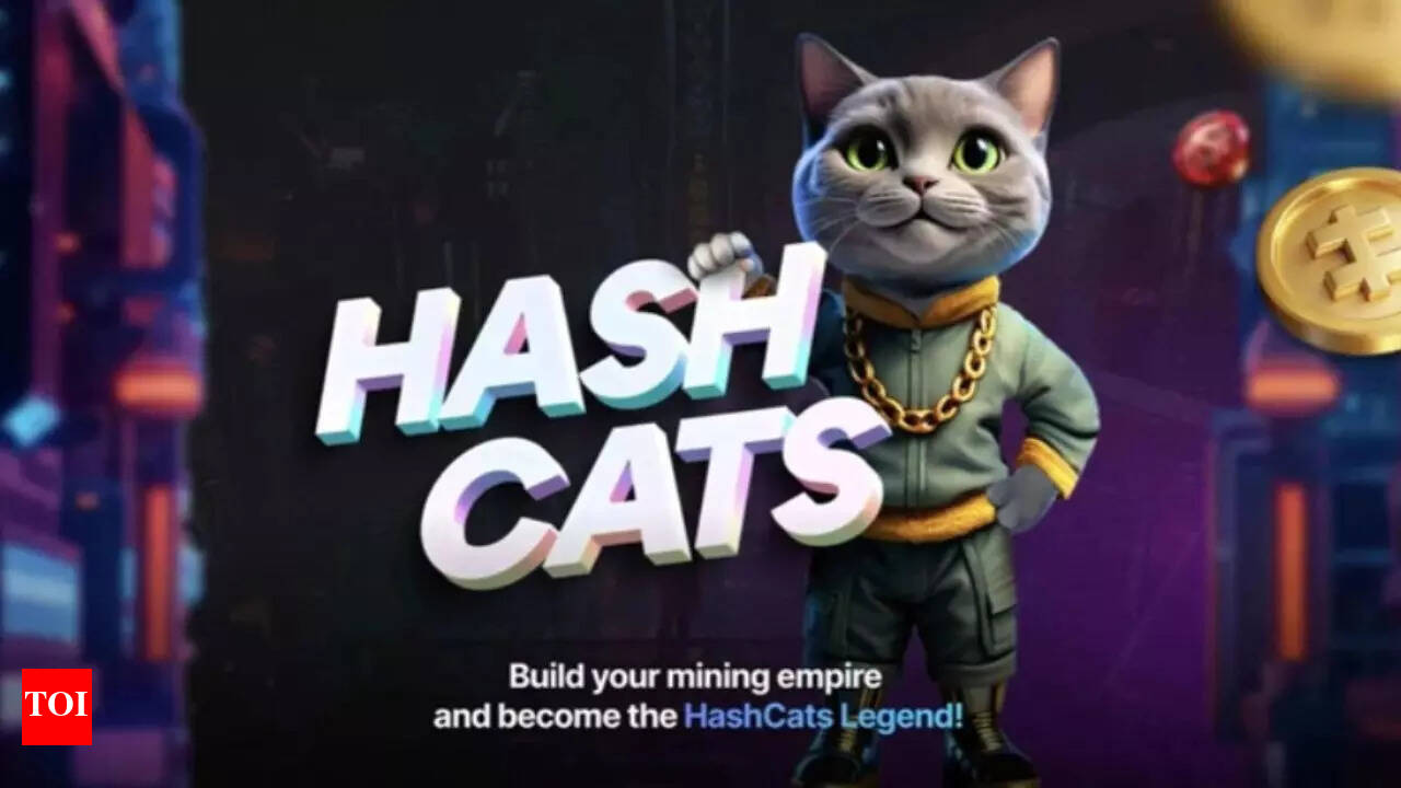 HashCats Daily Combo and special code for November 6, 2024: Boost your  earnings today! | - Times of India