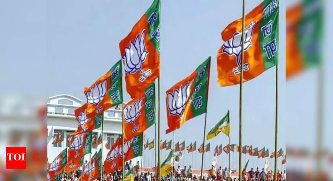 BJP Expels 40 Members Amid Rebellion and Candidate Controversy in