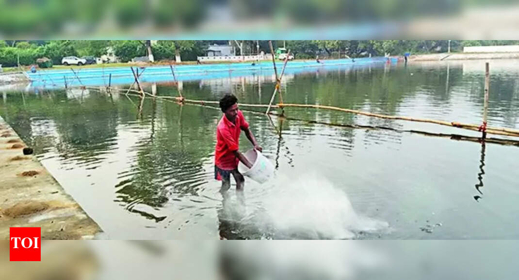 BSL Enhances Seven Ghats with Modern Amenities for Chhath Festival ...