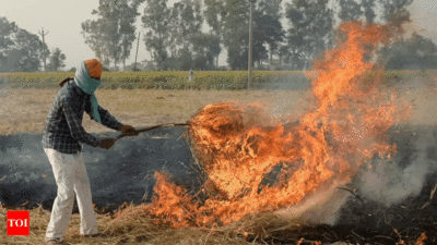 Smog crisis: Panelists from Indian and Pakistan call for collaborative solutions to combat stubble burning