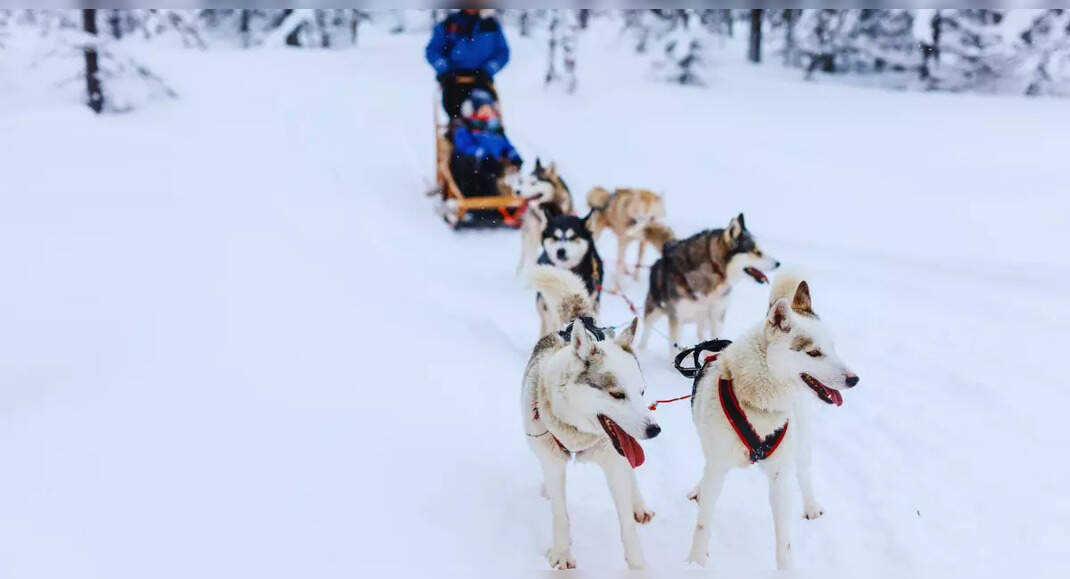 8 best winter adventures from around the world | Times of India Travel