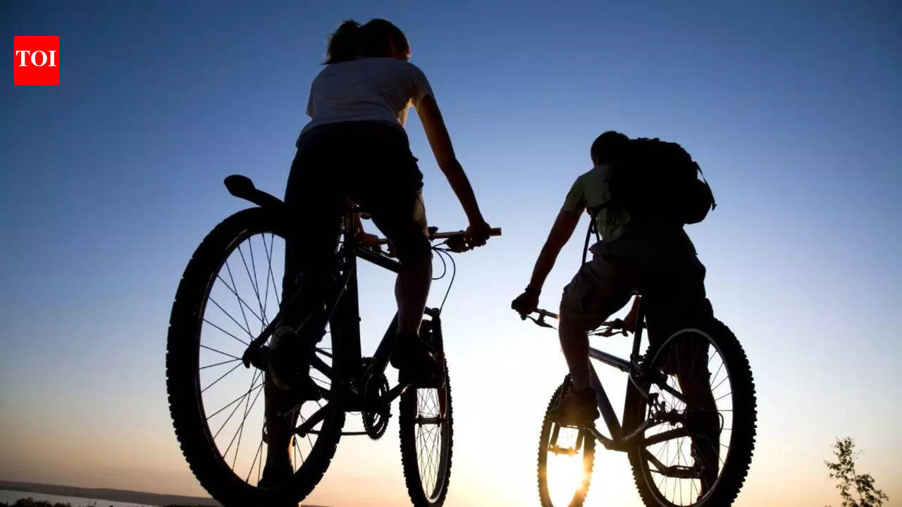 Best Bicycles For Women: For Comfortable & High-Performance Rides - The ...