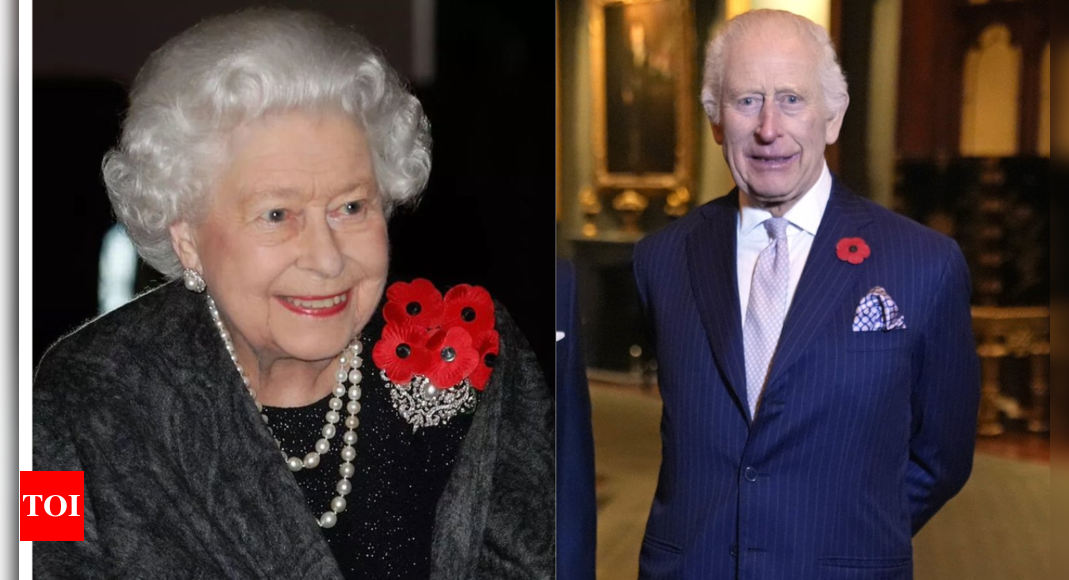 Why the British Royal family wear red poppy pins in November – Times of India