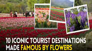 10 iconic tourist destinations made famous by flowers