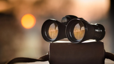 Best Binoculars for Outdoor Enthusiasts: High-Performance Options