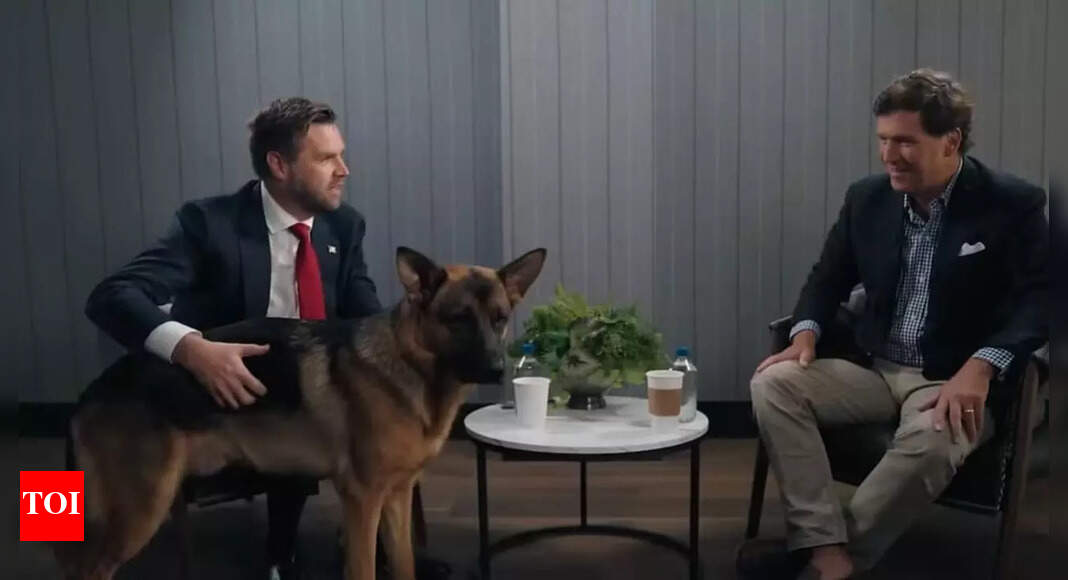 Who is Atlas Vance? Little known facts about JD Vance's beloved dog ...