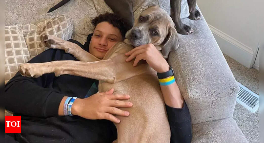 Steel's Cuddle Drama: Patrick Mahomes' Pit Bull Ignites a Social Media  Frenzy | NFL News - The Times of India