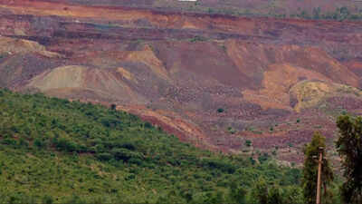 Karnataka plans 24x7 mining in forest areas