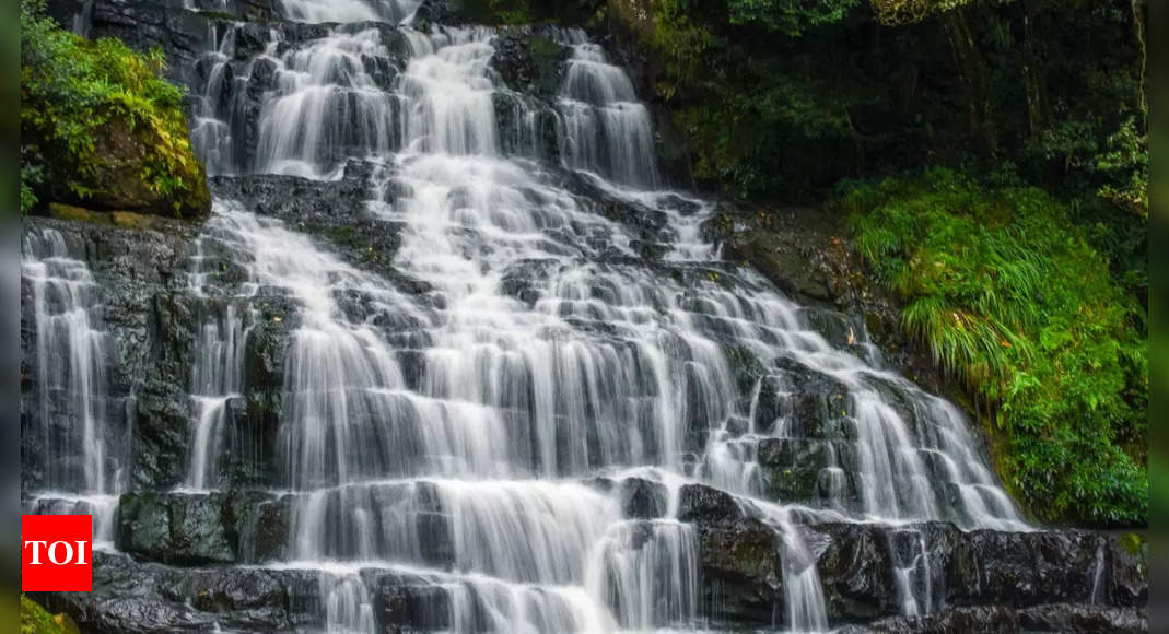 This waterfall in Shillong is named after an animal – Times of India