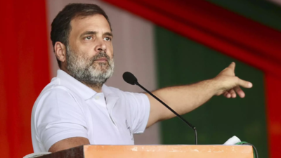 Politics of hate, violence, anger behind crashing economy: Rahul Gandhi