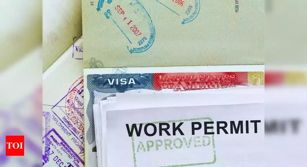 Indian-origin founders of this US-based company charged in H-1B visa fraud – Times of India