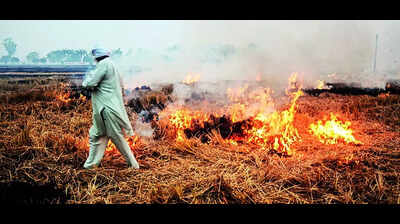 Flight Diversion Leaves 180 Stranded at Amritsar Airport Due to Poor