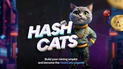 HashCats Daily Combo and special code for November 10, 2024: Increase your income now!