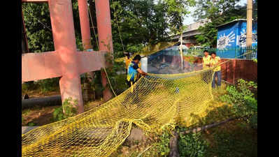 Protesters Demand Cancellation of Controversial SI Exam Amid Leak