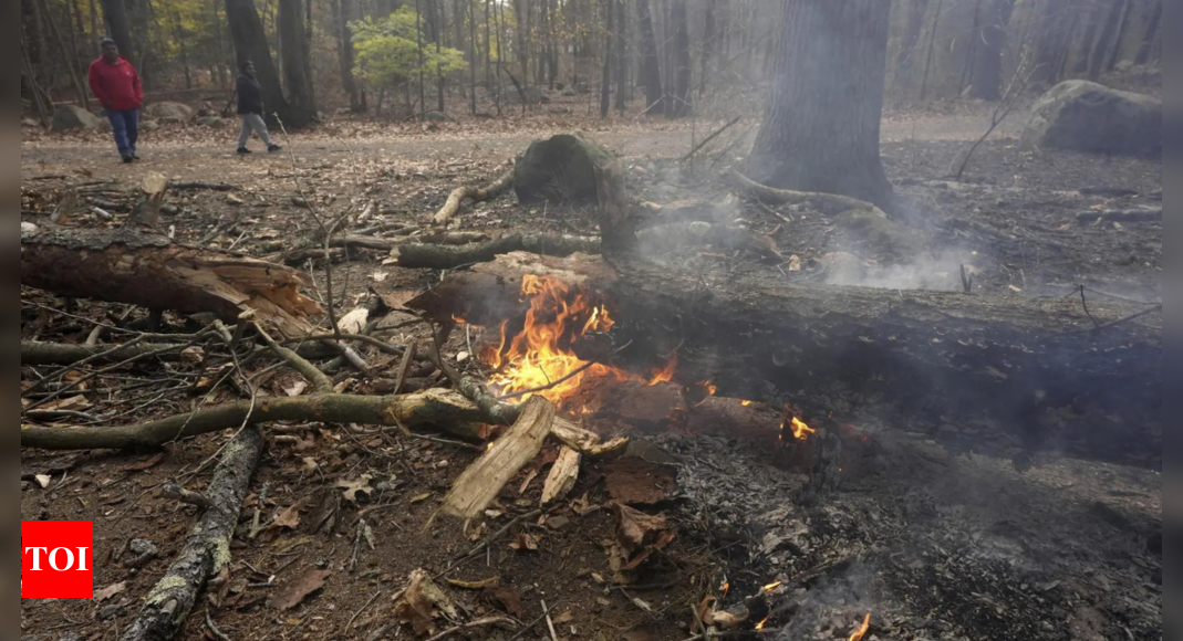 New York Parks employee dies while battling wildfire in Orange Country – Times of India