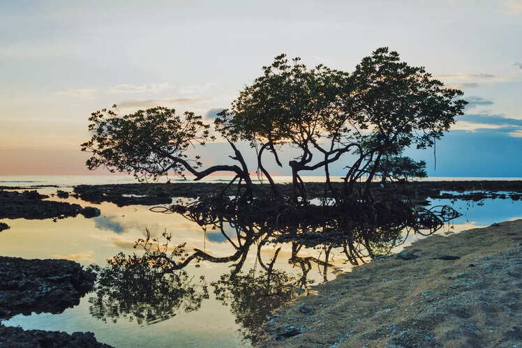 Rani Jhansi Marine National Park