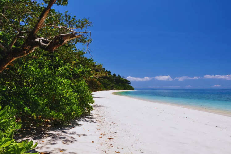Campbell Bay National Park