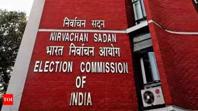 Precious metals, freebies top poll seizures in Maharashtra, Jharkhand: Election Commission of India