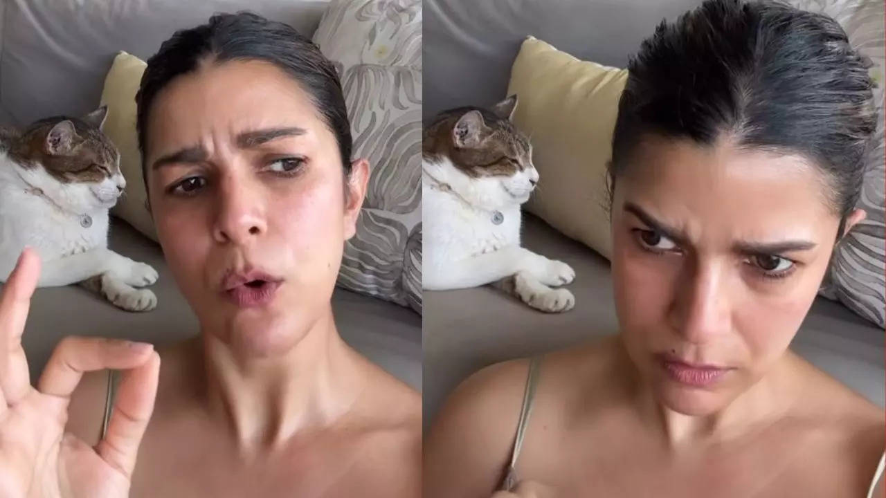 Nimrat Kaur shares a video making people 'jealous' of friendship: see inside | Hindi Movie News - Times of India