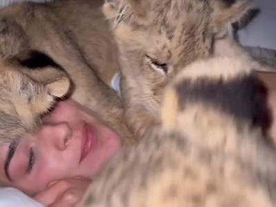 Viral Video: Woman Plays with 4 Rescued Lion Cubs; Internet users pay undivided attention