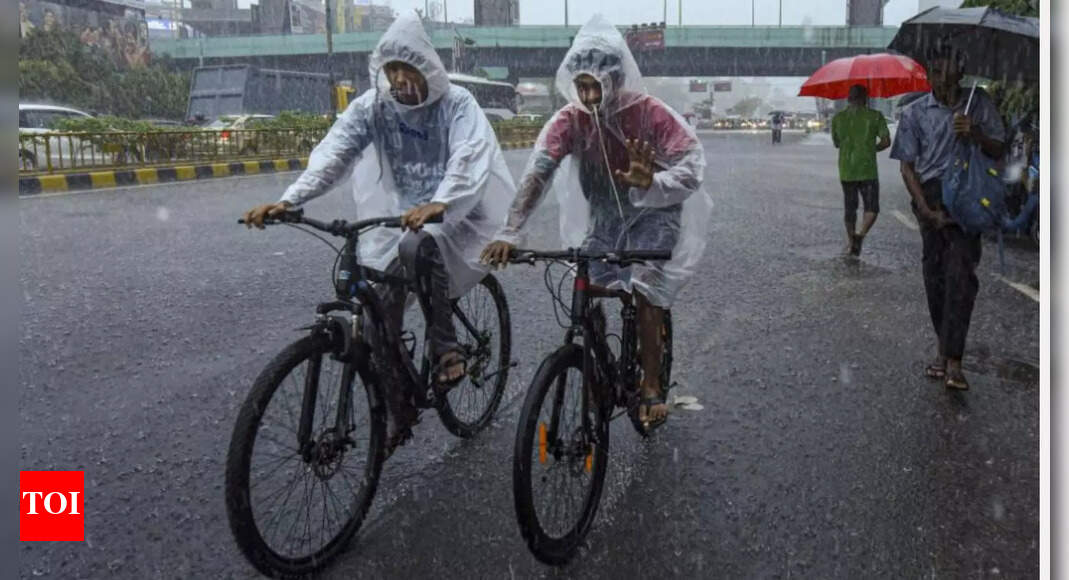Chennai schools closed: Educational institutions closed amid heavy rainfall alert for several districts in Tamil Nadu