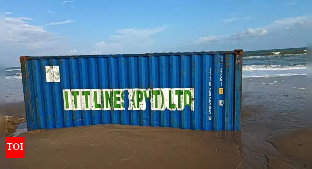 Urgent Action Needed to Remove Shipping Containers Endangering Turtle ...