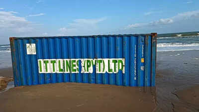 Urgent Action Needed to Remove Shipping Containers Endangering Turtle ...