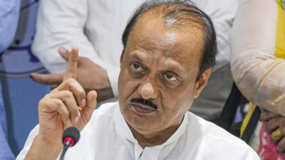 Ajit Pawar backs PM's 'ek hai' message; terms 'batenge, katenge' slogan inappropriate