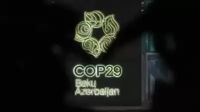 COP29 gets momentum with consensus on creation of carbon credits standards, India wants to conclude work on carbon market