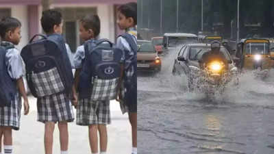 Tamil Nadu Rain School Holiday: IMD issues heavy rainfall alert for several districts including Chennai, are schools closed today?