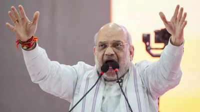 'Even if Indira Gandhi returns from heaven ... ': What Amit Shah said on Article 370 and Muslim reservation