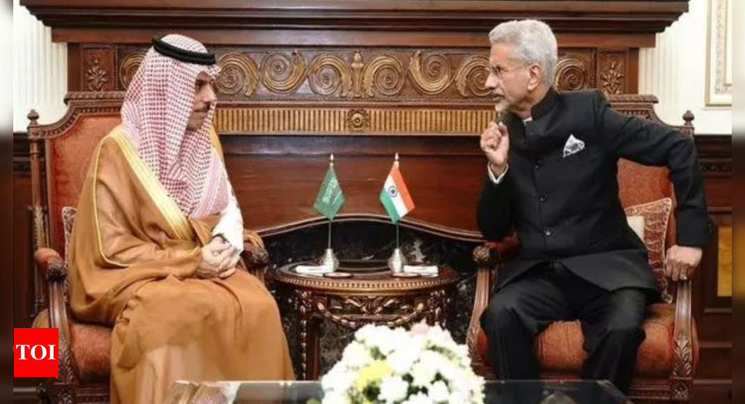 'Saudi crucial for stability in Middle East': Jaishankar holds talks with counterpart