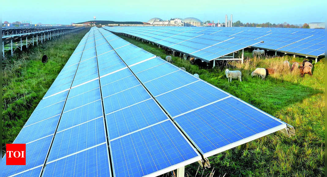 Gujarat's power equipment industry thrives on solar energy boom