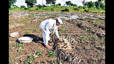 142 extreme weather event days in Maha this year, up from 106 in 2023