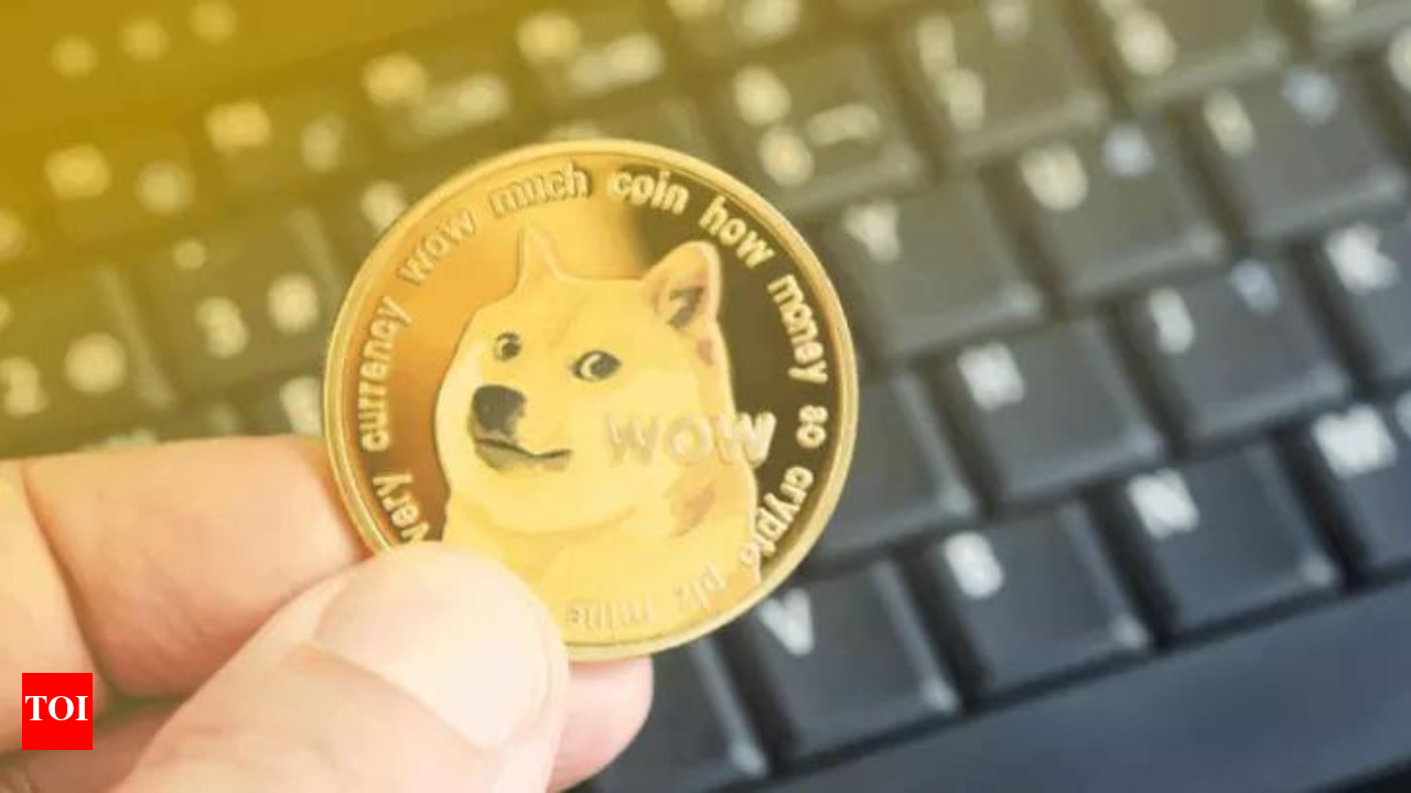 Dogecoin soars after Trump election win: What you need to know - Times of  India