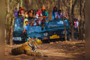 Wild Madhya Pradesh: Home to the largest number of national parks in India