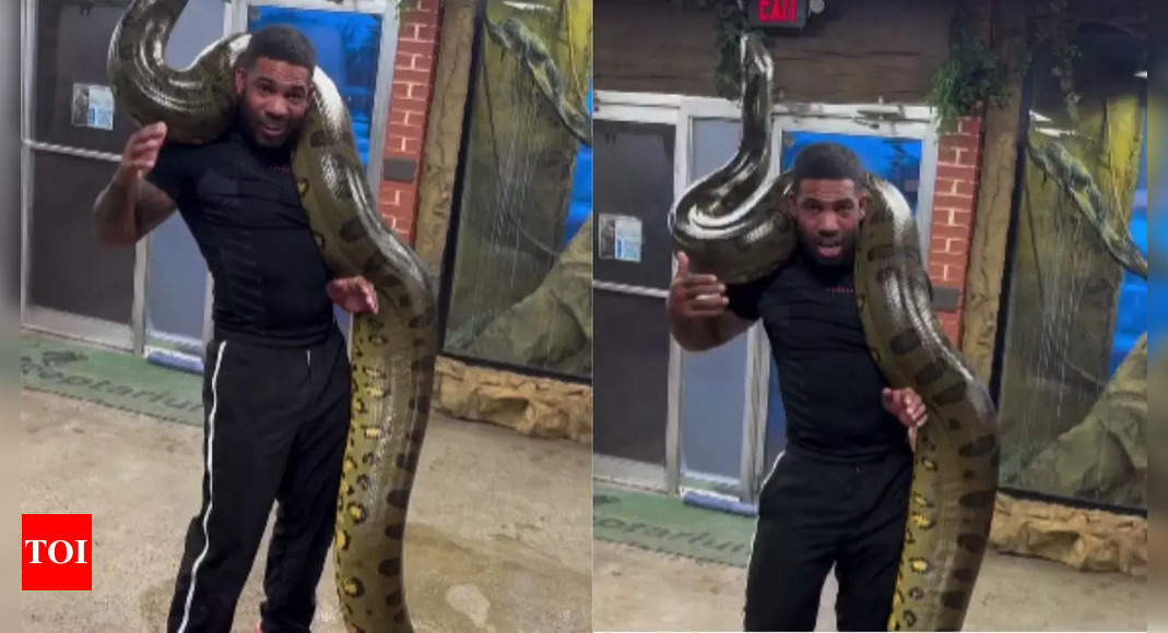 Watch: Man lifts world’s heaviest green anaconda on his shoulders; video goes viral