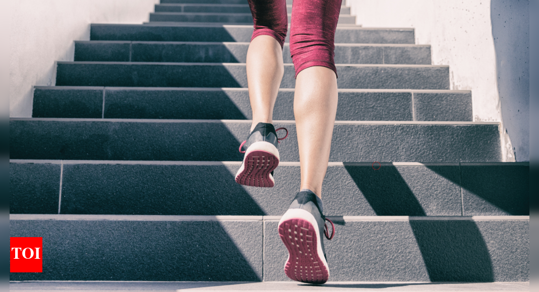 Stair Climbing for Weight Loss: How Many Steps You Need to Melt Fat - News Directory 3