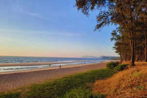 5 serene beaches in Goa you must visit!