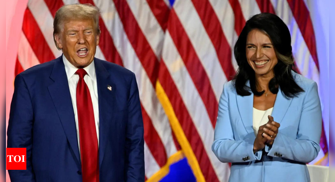 Trump names Hindu-American Tulsi Gabbard as US Intel Czar – Times of India