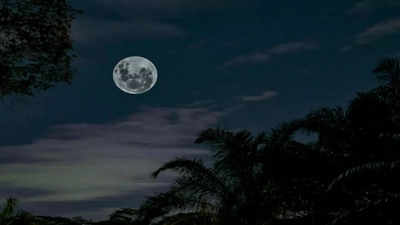 Full Moon November 2024: Obvious love and abundance on the Supermoon