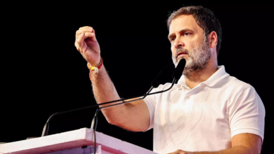 'They won't talk about jobs, unemployment and plight of Dalits': Rahul Gandhi in Ranchi