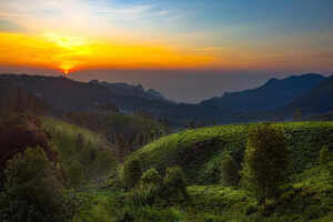 Escape to Ooty: 5 must-visit spots for a perfect quick getaway