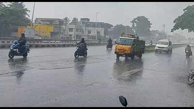 Trichy and Delta Districts Hit by Moderate Rainfall; Agriculture ...