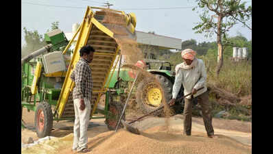 Political Fallout as Wet Paddy Delays Procurement in Telangana ...