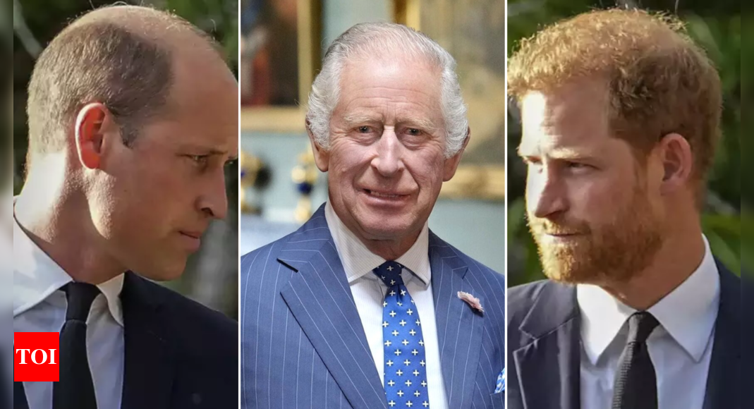 King Charles can’t have ‘unilateral’ talks with Prince Harry if Prince William is ‘not’ in agreement: Royal author – Times of India