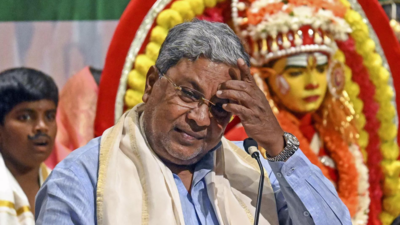 Accused of fund misuse, Karnataka to make temple audit reports public